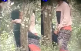 ဆော်ကြီးကိုကထန်တာ တက်ပြီးခွတာ