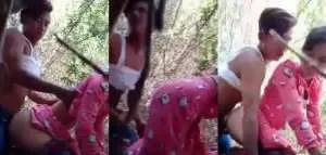 ဝါးပင်တွေကြားက အချစ် တောတိုးအောကား